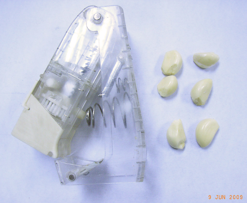 Clear inherited mechanism prototype shown with garlic cloves