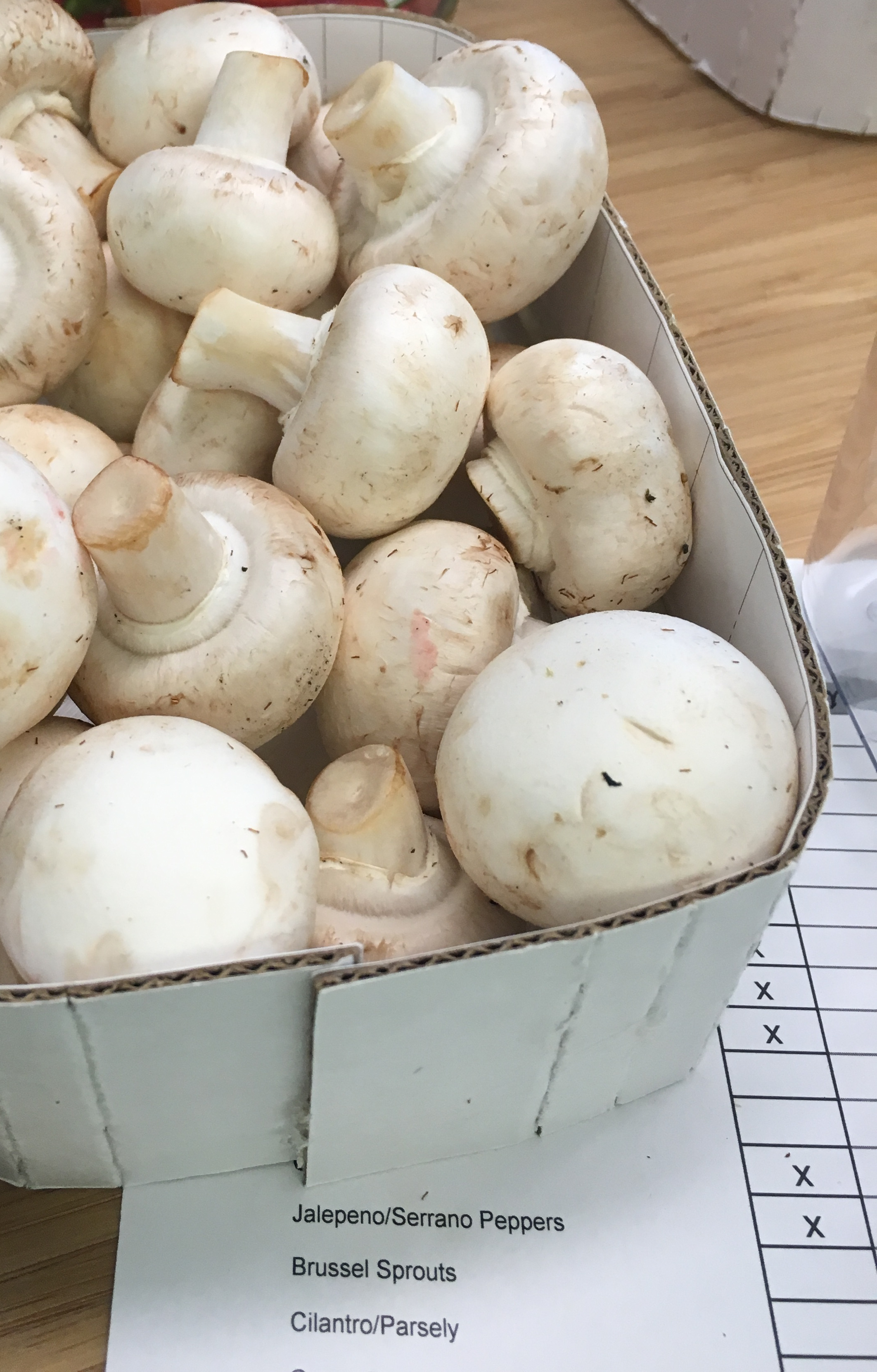 Mushroom volume study and checkoff sheet in an early Produce Keeper prototype